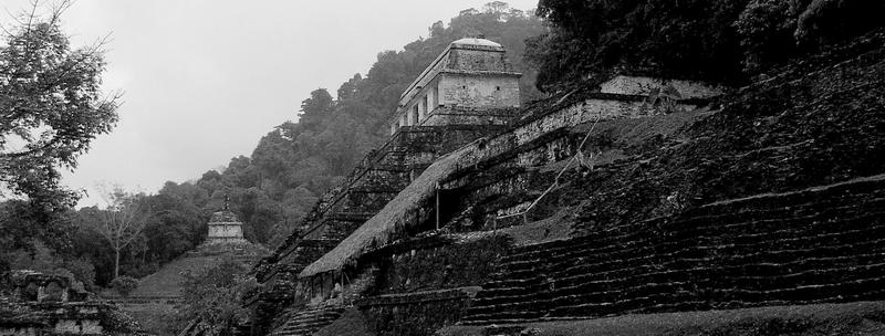 Mayan temples at Palenque, Temple of the Inscriptions in the centre of the frame